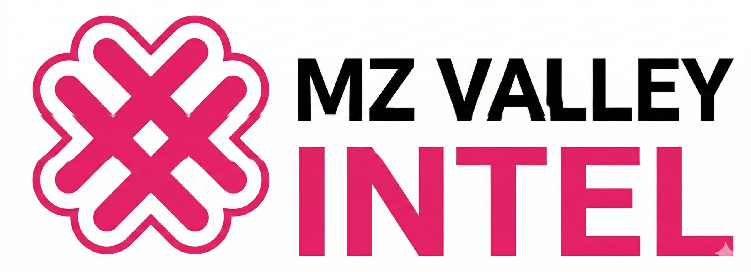 MZ Valley Intel